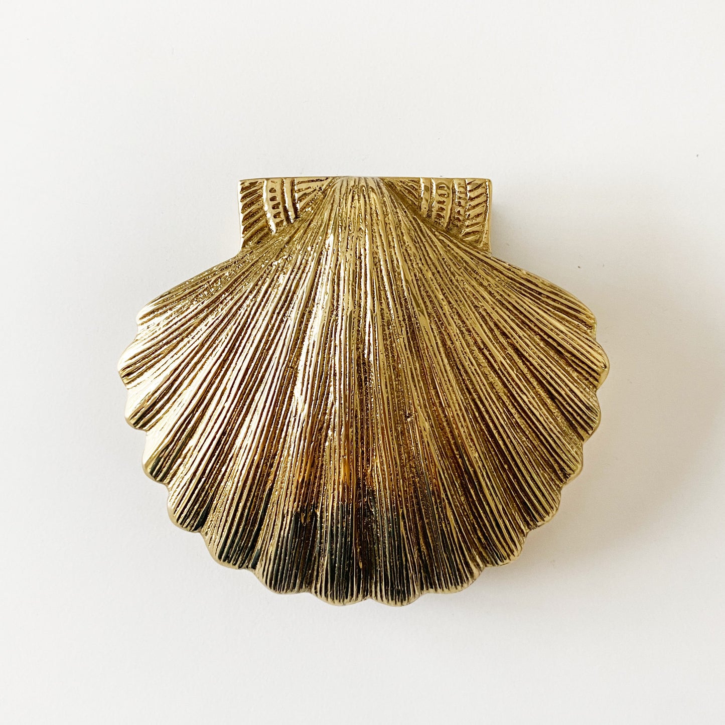 Elevate Your Home with Unique Decor, See Shell Knocker Brass Decor for Your Doors, Improve Your Home with Style.